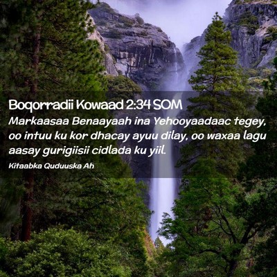 Picture 02 - Boqorradii Kowaad 2:34 SOM - Markaasaa Benaayaah ina Yehooyaadaac tegey, oo - Bible Verse Picture