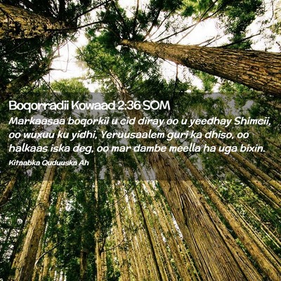 Picture 02 - Boqorradii Kowaad 2:36 SOM - Markaasaa boqorkii u cid diray oo u yeedhay - Bible Verse Picture