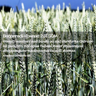 Picture 02 - Boqorradii Kowaad 2:37 SOM - Waayo, maalintii aad baxdo oo aad durdurka - Bible Verse Picture