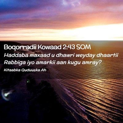 Picture 02 - Boqorradii Kowaad 2:43 SOM - Haddaba maxaad u dhawri weyday dhaartii Rabbiga - Bible Verse Picture