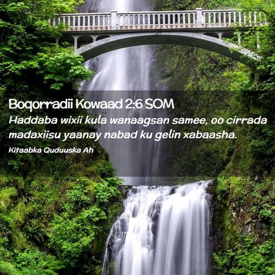 Picture 02 - Boqorradii Kowaad 2:6 SOM - Haddaba wixii kula wanaagsan samee, oo cirrada - Bible Verse Picture