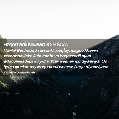 Picture 02 - Boqorradii Kowaad 20:12 SOM - Markii Benhadad farriintii maqlay, isagoo khamri - Bible Verse Picture