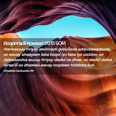 Picture 02 - Boqorradii Kowaad 20:15 SOM - Markaasuu tiriyey amiirradii gobollada - Bible Verse Picture