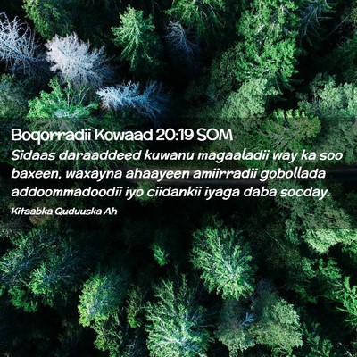 Picture 02 - Boqorradii Kowaad 20:19 SOM - Sidaas daraaddeed kuwanu magaaladii way ka soo - Bible Verse Picture