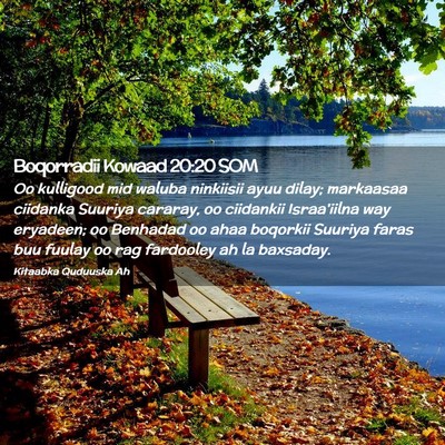 Picture 02 - Boqorradii Kowaad 20:20 SOM - Oo kulligood mid waluba ninkiisii ayuu dilay; - Bible Verse Picture