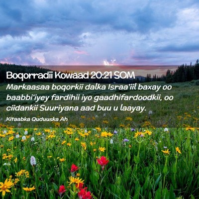 Picture 02 - Boqorradii Kowaad 20:21 SOM - Markaasaa boqorkii dalka Israa'iil baxay oo - Bible Verse Picture