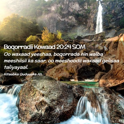 Picture 02 - Boqorradii Kowaad 20:24 SOM - Oo waxaad yeeshaa, boqorrada nin walba meeshiisii - Bible Verse Picture