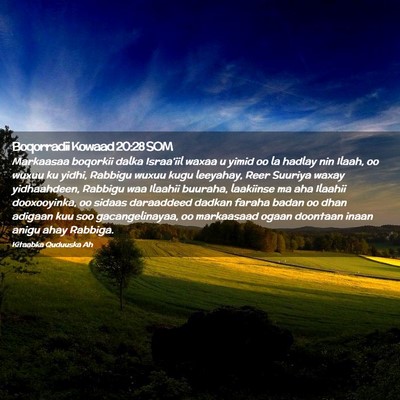 Picture 02 - Boqorradii Kowaad 20:28 SOM - Markaasaa boqorkii dalka Israa'iil waxaa u yimid - Bible Verse Picture