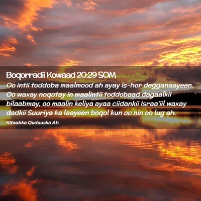 Picture 02 - Boqorradii Kowaad 20:29 SOM - Oo intii toddoba maalmood ah ayay is-hor - Bible Verse Picture