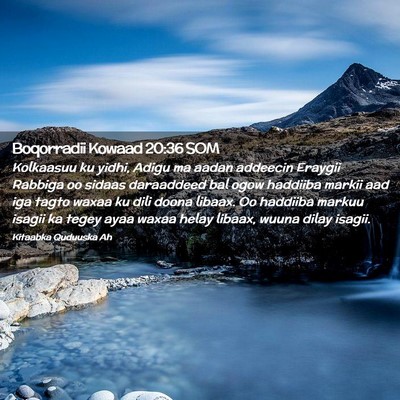 Picture 02 - Boqorradii Kowaad 20:36 SOM - Kolkaasuu ku yidhi, Adigu ma aadan addeecin - Bible Verse Picture