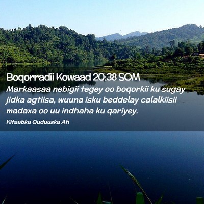 Picture 02 - Boqorradii Kowaad 20:38 SOM - Markaasaa nebigii tegey oo boqorkii ku sugay - Bible Verse Picture