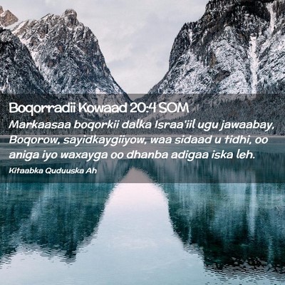 Picture 02 - Boqorradii Kowaad 20:4 SOM - Markaasaa boqorkii dalka Israa'iil ugu jawaabay, - Bible Verse Picture