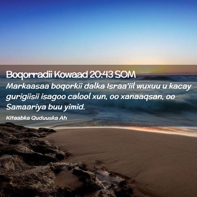 Picture 02 - Boqorradii Kowaad 20:43 SOM - Markaasaa boqorkii dalka Israa'iil wuxuu u kacay - Bible Verse Picture