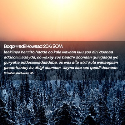 Picture 02 - Boqorradii Kowaad 20:6 SOM - laakiinse berrito hadda oo kale waxaan kuu soo - Bible Verse Picture