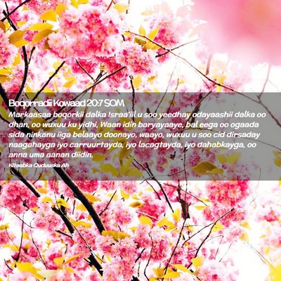 Picture 02 - Boqorradii Kowaad 20:7 SOM - Markaasaa boqorkii dalka Israa'iil u soo yeedhay - Bible Verse Picture