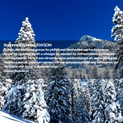 Picture 02 - Boqorradii Kowaad 20:9 SOM - Sidaas daraaddeed wuxuu ku yidhi kuwii Benhadad - Bible Verse Picture