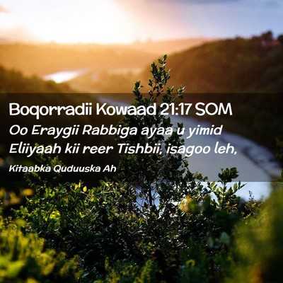 Picture 02 - Boqorradii Kowaad 21:17 SOM - Oo Eraygii Rabbiga ayaa u yimid Eliiyaah kii reer - Bible Verse Picture