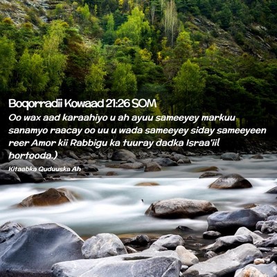 Picture 02 - Boqorradii Kowaad 21:26 SOM - Oo wax aad karaahiyo u ah ayuu sameeyey markuu - Bible Verse Picture