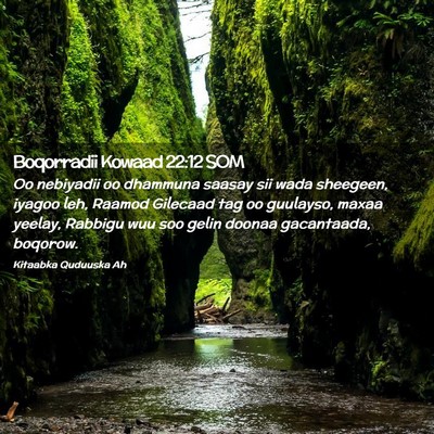 Picture 02 - Boqorradii Kowaad 22:12 SOM - Oo nebiyadii oo dhammuna saasay sii wada - Bible Verse Picture