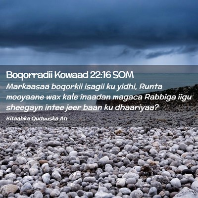Picture 02 - Boqorradii Kowaad 22:16 SOM - Markaasaa boqorkii isagii ku yidhi, Runta - Bible Verse Picture