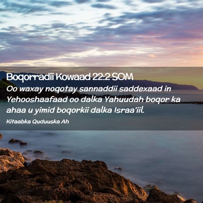 Picture 02 - Boqorradii Kowaad 22:2 SOM - Oo waxay noqotay sannaddii saddexaad in - Bible Verse Picture