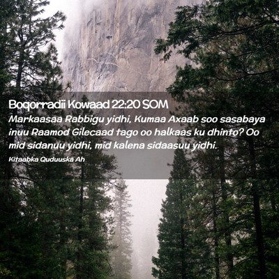 Picture 02 - Boqorradii Kowaad 22:20 SOM - Markaasaa Rabbigu yidhi, Kumaa Axaab soo sasabaya - Bible Verse Picture