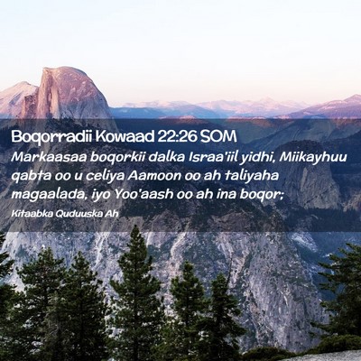 Picture 02 - Boqorradii Kowaad 22:26 SOM - Markaasaa boqorkii dalka Israa'iil yidhi, - Bible Verse Picture