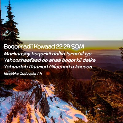 Picture 02 - Boqorradii Kowaad 22:29 SOM - Markaasay boqorkii dalka Israa'iil iyo - Bible Verse Picture