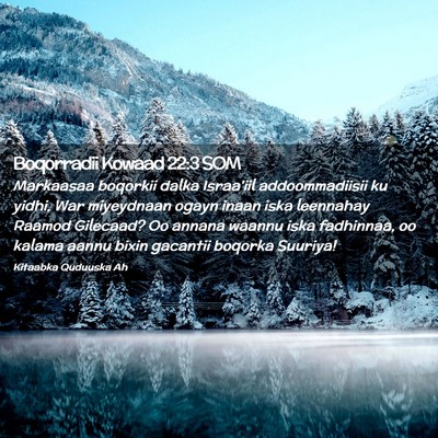 Picture 02 - Boqorradii Kowaad 22:3 SOM - Markaasaa boqorkii dalka Israa'iil addoommadiisii - Bible Verse Picture
