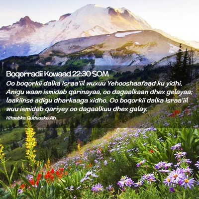 Picture 02 - Boqorradii Kowaad 22:30 SOM - Oo boqorkii dalka Israa'iil wuxuu Yehooshaafaad - Bible Verse Picture