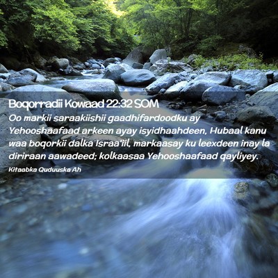 Picture 02 - Boqorradii Kowaad 22:32 SOM - Oo markii saraakiishii gaadhifardoodku ay - Bible Verse Picture