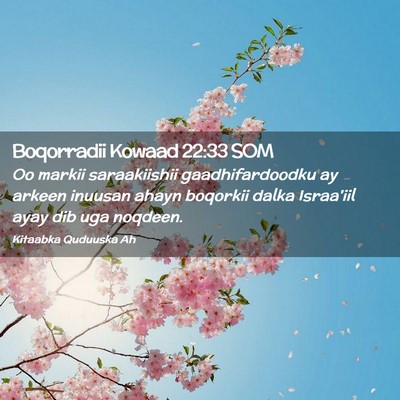 Picture 02 - Boqorradii Kowaad 22:33 SOM - Oo markii saraakiishii gaadhifardoodku ay arkeen - Bible Verse Picture