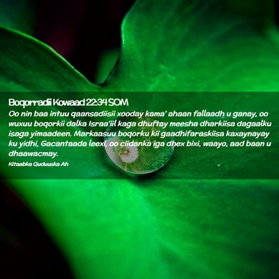 Picture 02 - Boqorradii Kowaad 22:34 SOM - Oo nin baa intuu qaansadiisii xooday kama' ahaan - Bible Verse Picture