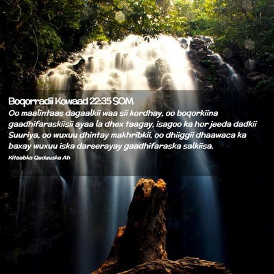 Picture 02 - Boqorradii Kowaad 22:35 SOM - Oo maalintaas dagaalkii waa sii kordhay, oo - Bible Verse Picture