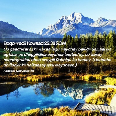 Picture 02 - Boqorradii Kowaad 22:38 SOM - Oo gaadhifaraskii waxaa lagu maydhay balligii - Bible Verse Picture