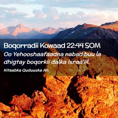 Picture 02 - Boqorradii Kowaad 22:44 SOM - Oo Yehooshaafaadna nabad buu la dhigtay boqorkii - Bible Verse Picture
