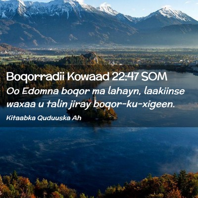 Picture 02 - Boqorradii Kowaad 22:47 SOM - Oo Edomna boqor ma lahayn, laakiinse waxaa u - Bible Verse Picture