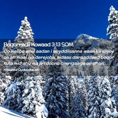 Picture 02 - Boqorradii Kowaad 3:13 SOM - Oo weliba wixii aadan i weyddiisanna waan ku - Bible Verse Picture
