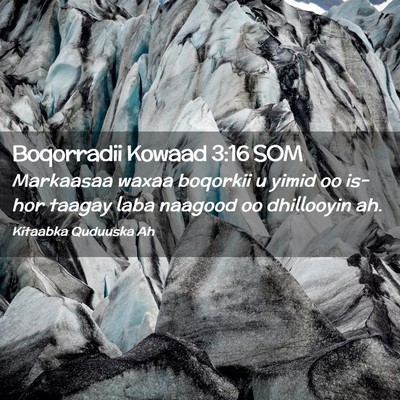 Picture 02 - Boqorradii Kowaad 3:16 SOM - Markaasaa waxaa boqorkii u yimid oo is-hor taagay - Bible Verse Picture