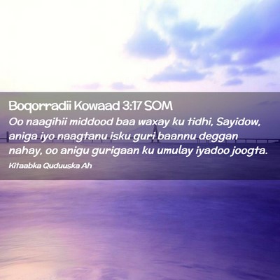 Picture 02 - Boqorradii Kowaad 3:17 SOM - Oo naagihii middood baa waxay ku tidhi, Sayidow, - Bible Verse Picture