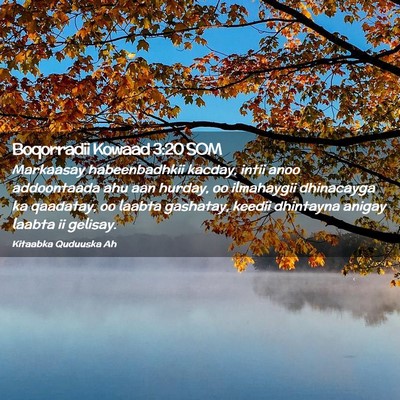Picture 02 - Boqorradii Kowaad 3:20 SOM - Markaasay habeenbadhkii kacday, intii anoo - Bible Verse Picture