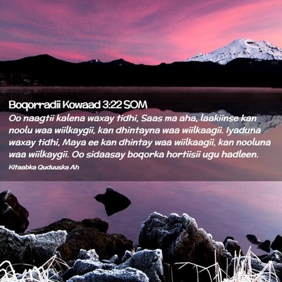 Picture 02 - Boqorradii Kowaad 3:22 SOM - Oo naagtii kalena waxay tidhi, Saas ma aha, - Bible Verse Picture