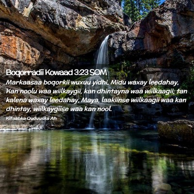 Picture 02 - Boqorradii Kowaad 3:23 SOM - Markaasaa boqorkii wuxuu yidhi, Midu waxay - Bible Verse Picture
