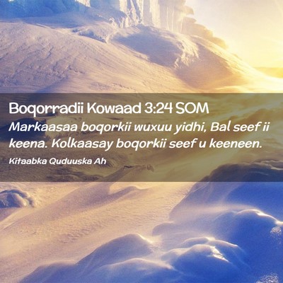 Picture 02 - Boqorradii Kowaad 3:24 SOM - Markaasaa boqorkii wuxuu yidhi, Bal seef ii - Bible Verse Picture