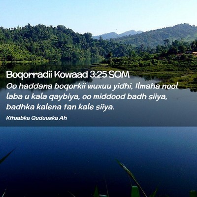 Picture 02 - Boqorradii Kowaad 3:25 SOM - Oo haddana boqorkii wuxuu yidhi, Ilmaha nool laba - Bible Verse Picture