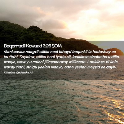 Picture 02 - Boqorradii Kowaad 3:26 SOM - Markaasaa naagtii wiilka nool lahayd boqorkii la - Bible Verse Picture