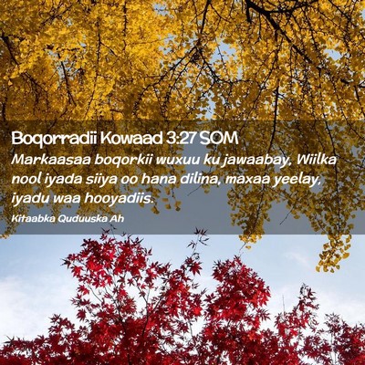 Picture 02 - Boqorradii Kowaad 3:27 SOM - Markaasaa boqorkii wuxuu ku jawaabay, Wiilka nool - Bible Verse Picture