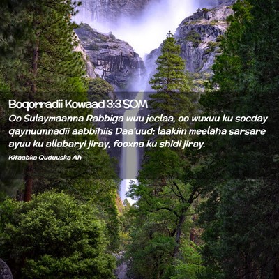 Picture 02 - Boqorradii Kowaad 3:3 SOM - Oo Sulaymaanna Rabbiga wuu jeclaa, oo wuxuu ku - Bible Verse Picture