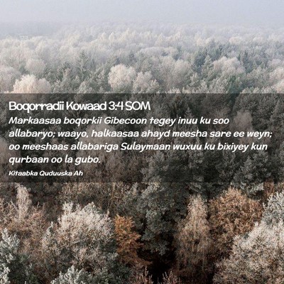 Picture 02 - Boqorradii Kowaad 3:4 SOM - Markaasaa boqorkii Gibecoon tegey inuu ku soo - Bible Verse Picture