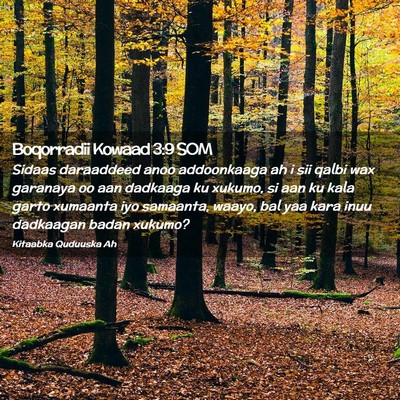 Picture 02 - Boqorradii Kowaad 3:9 SOM - Sidaas daraaddeed anoo addoonkaaga ah i sii qalbi - Bible Verse Picture